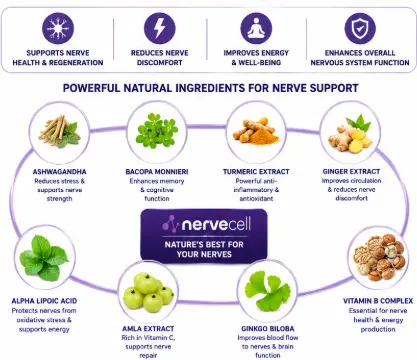 Nervecell Supplement Facts Label